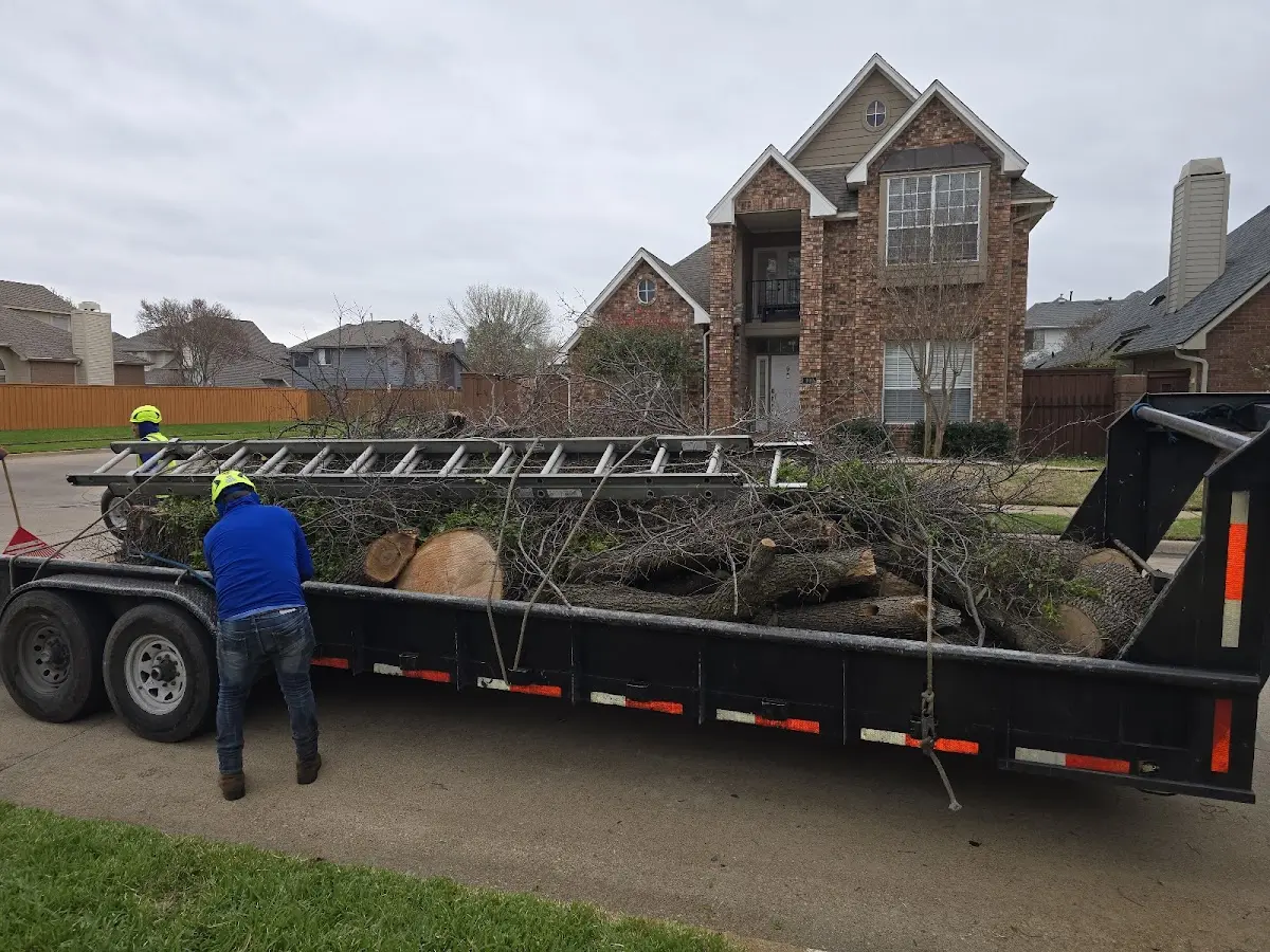 Expert Tree Fertilization with proper safety equipment in Energy